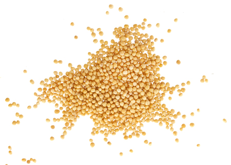 Pile of mustard seeds isolated on white background, with clipping pathの写真素材