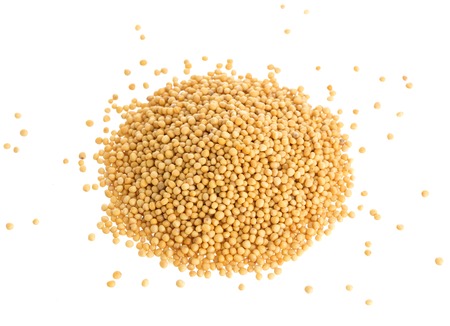 Pile of mustard seeds isolated on white backgroundの写真素材
