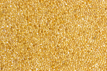 Pile of mustard seeds isolated on white backgroundの写真素材