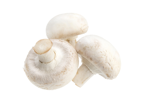 Mushroom champignon isolated on white backgroundの写真素材
