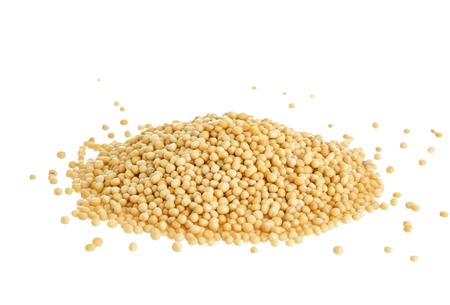 Pile of mustard seeds isolated on white backgroundの写真素材