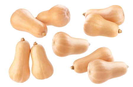 Fresh butternut squash isolated on white backgroundの写真素材