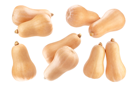 Fresh butternut squash isolated on white backgroundの写真素材