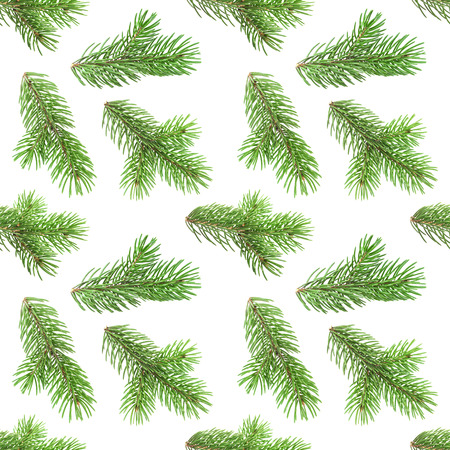 Seamless pattern of fir tree branches isolated on white background, with clipping pathの写真素材