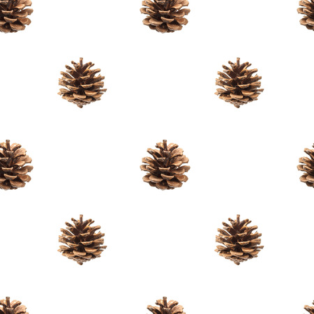 Fir cones seamless pattern isolated on white background, with clipping pathの写真素材