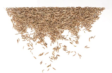 Caraway isolated on white backgroundの写真素材