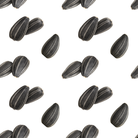 Seamless pattern of black sunflower seedsの写真素材