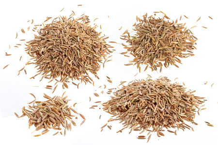 Cumin seeds or caraway isolated on whiteの写真素材