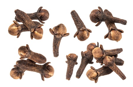 Dry cloves on white backgroundの写真素材