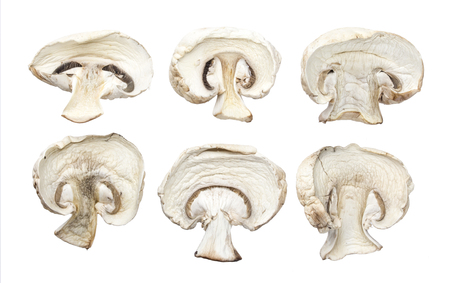 Dried mushrooms isolated on white backgroundの写真素材