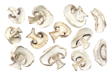Dry mushrooms isolated on white backgroundの写真素材