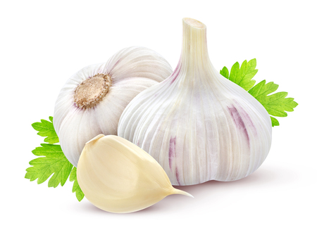 Garlic with parsley on white backgroundの写真素材