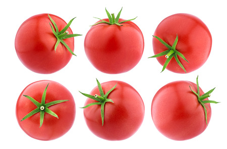 Tomatoes isolated. Whole Tomatoes on white background, big collectionの写真素材