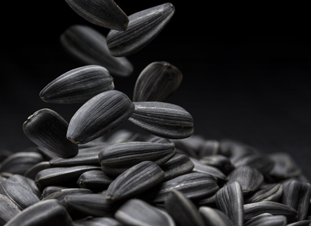 Falling black sunflower seeds close-up on dark backgroundの写真素材