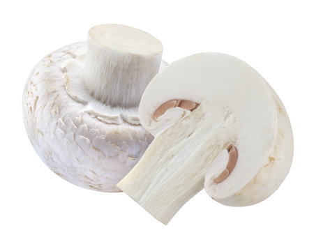 Mushroom champion isolated on white background with clipping path.の写真素材