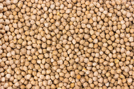 Chickpeas background or textureの写真素材