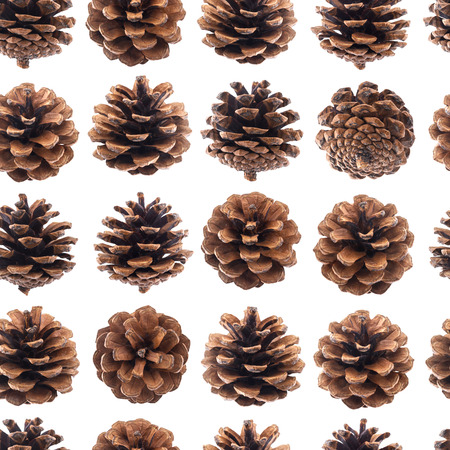 Pine cones seamless pattern, fir tree cones isolated on white background closeupの写真素材