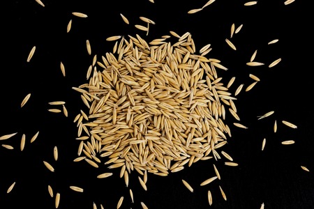 Pile of oat seeds on black background, top viewの写真素材