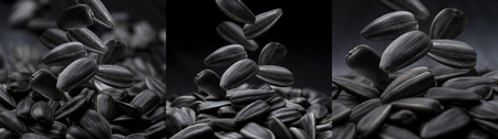 Falling sunflower seeds isolated on a black background, concept for use in packagingの写真素材