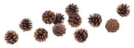 Falling pine cones. Fir cones isolated on white background with clipping path, collection