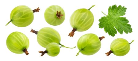 Green gooseberry isolated on white background, collectionの写真素材