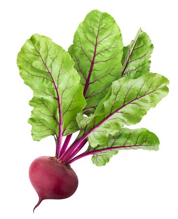 Beetroot isolated on white backgroundの写真素材
