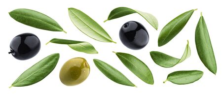 Collection of black and green olives with leaves isolated on white background with clipping pathの写真素材