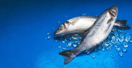 Fresh seabass fish on ice on blue color background, top view with copy space