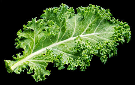 Kale salad leaf isolated on black background, top view