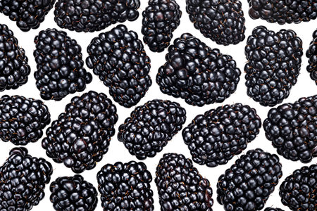 Blackberry background. Forest berries texture