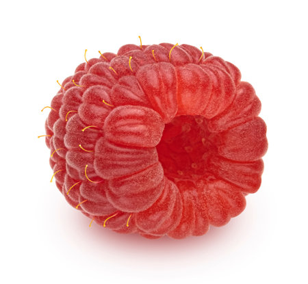 One fresh raspberry isolated on white background, full depth of fieldの写真素材