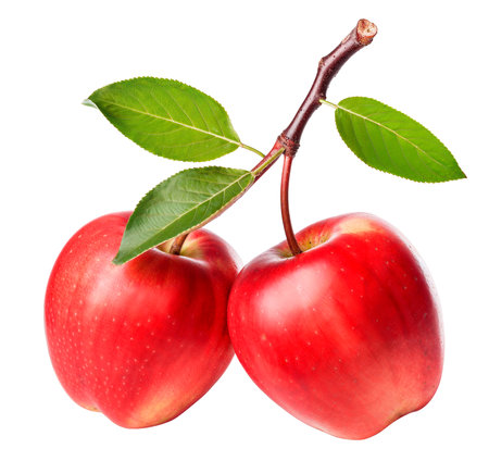 Two red apples on branch isolated on white background with clipping path, AI generatedの素材