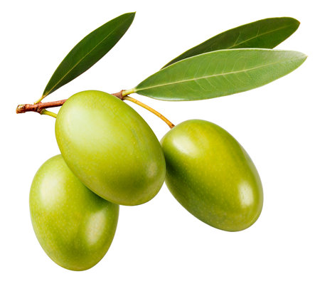 Green olives with leaves on branch isolated on white background with clipping path, AI generatedの素材