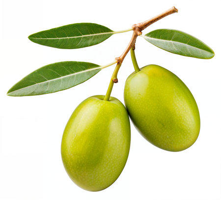 Green olives with leaves on branch isolated on white background with clipping path, AI generatedの素材