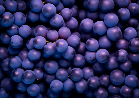 Blue grape texture top view, wine package background, design element, AI generatedの素材