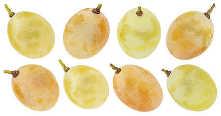 Falling green grape isolated on white backgroundの写真素材
