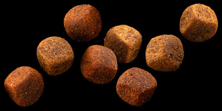 Dry pet food isolated on black backgroundの写真素材