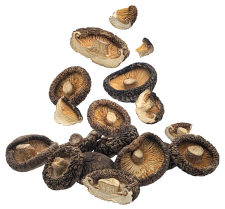 Falling dried shiitake mushrooms isolated on white background, full depth of fieldの写真素材