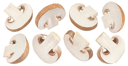 Brown champignon mushroom slices isolated on white backgroundの写真素材