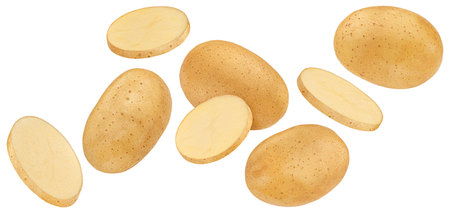 Falling potato slices isolated on white backgroundの写真素材