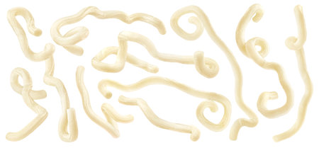 Udon noodles isolated on white backgroundの写真素材