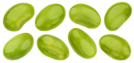 Fresh edamame beans, green soybeans isolated on white backgroundの写真素材