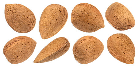 Almond nuts in shell isolated on white background with clipping pathの写真素材