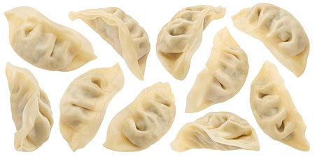 Chinese Gyoza dumplings Isolated on white background with clipping path, full depth of fieldの写真素材