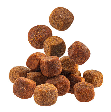 Dry cat or dog food isolated on white background with clipping pathの写真素材