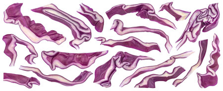 Shredded red cabbage isolated on white background with clipping pathの写真素材