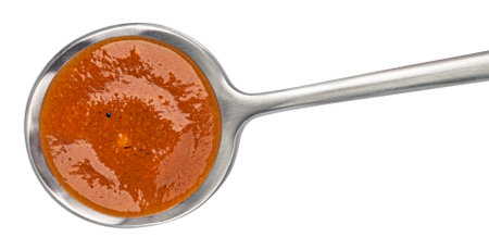 Beef stew sauce in spoon isolated on white backgroundの写真素材