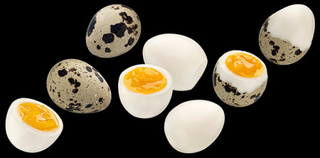 Quail eggs, isolated on black background, package design elementの写真素材