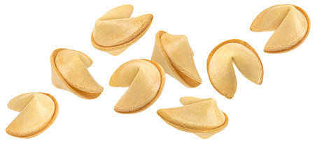 Fortune cookies isolated on white background with clipping path, assortment, full depth of fieldの写真素材