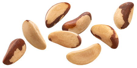 Falling brazil nuts isolated on white background with clipping pathの写真素材